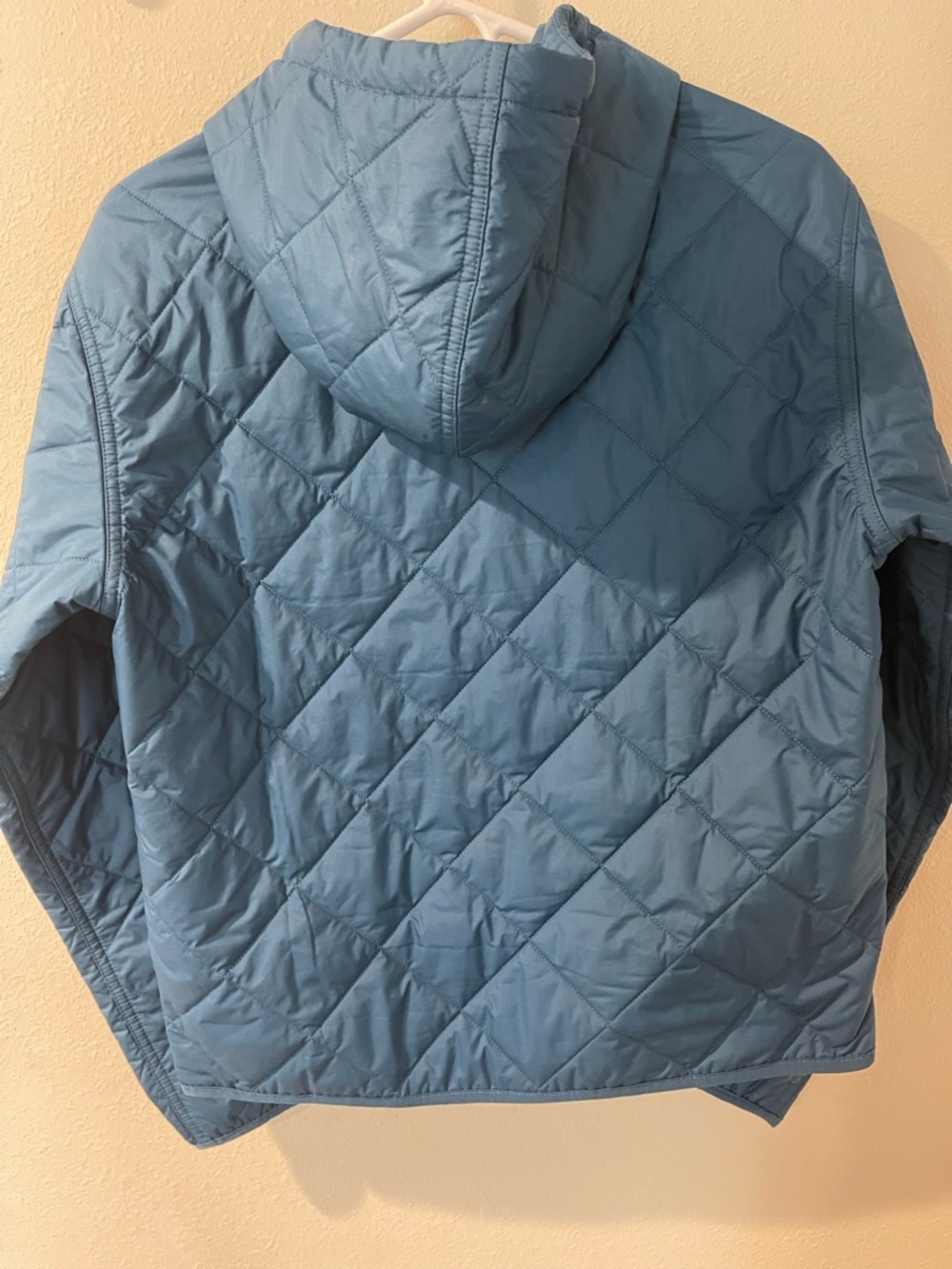 Patagonia Blue Quilted Hooded Jacket